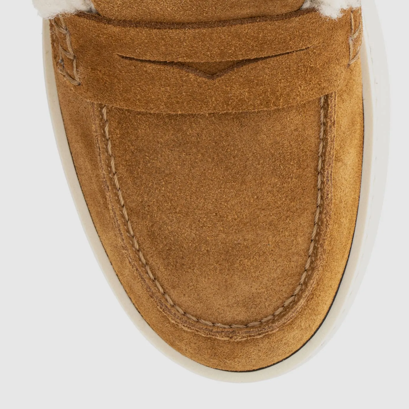 Amata