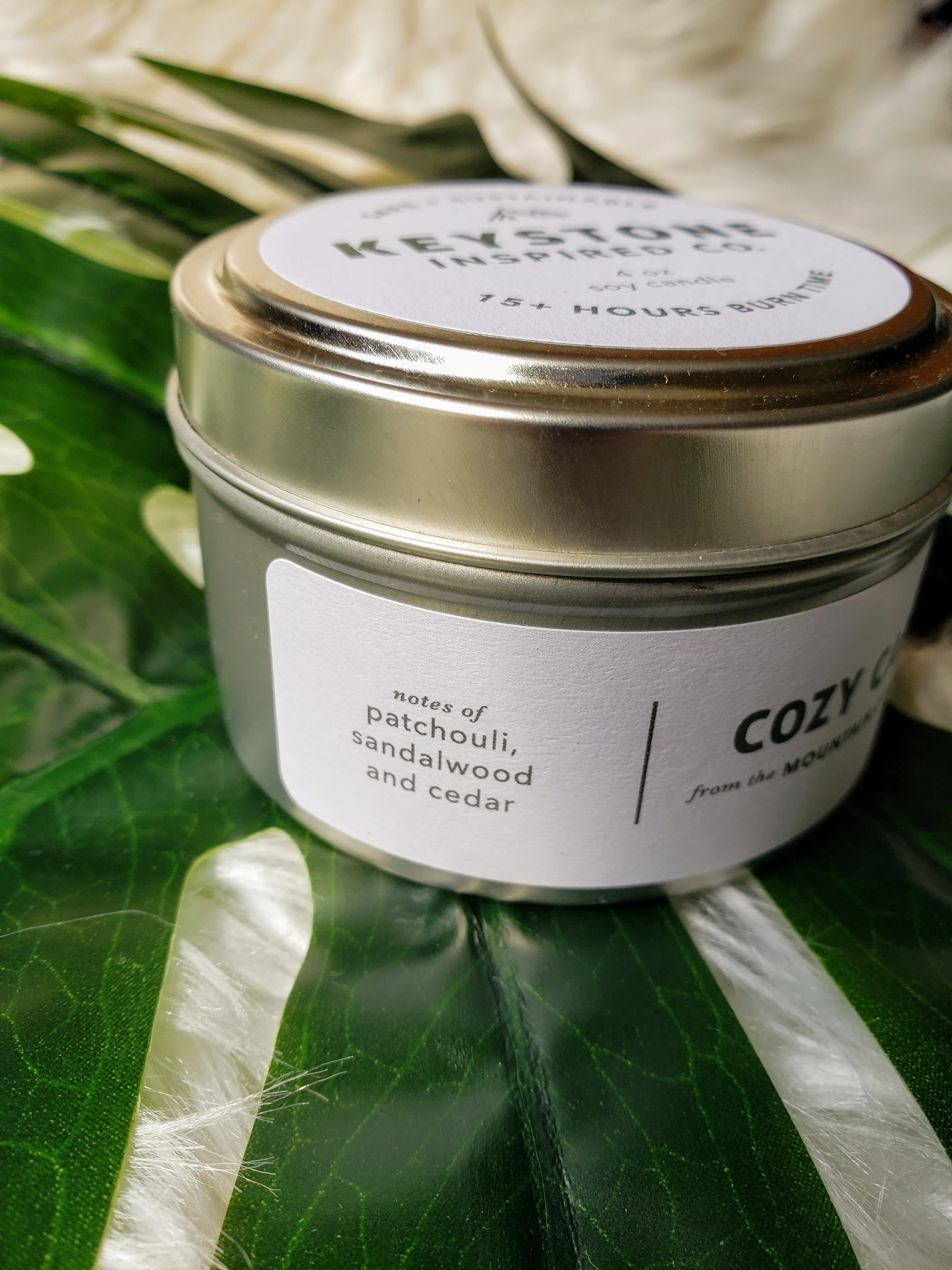 Cozy Cabin Travel Tin Candle