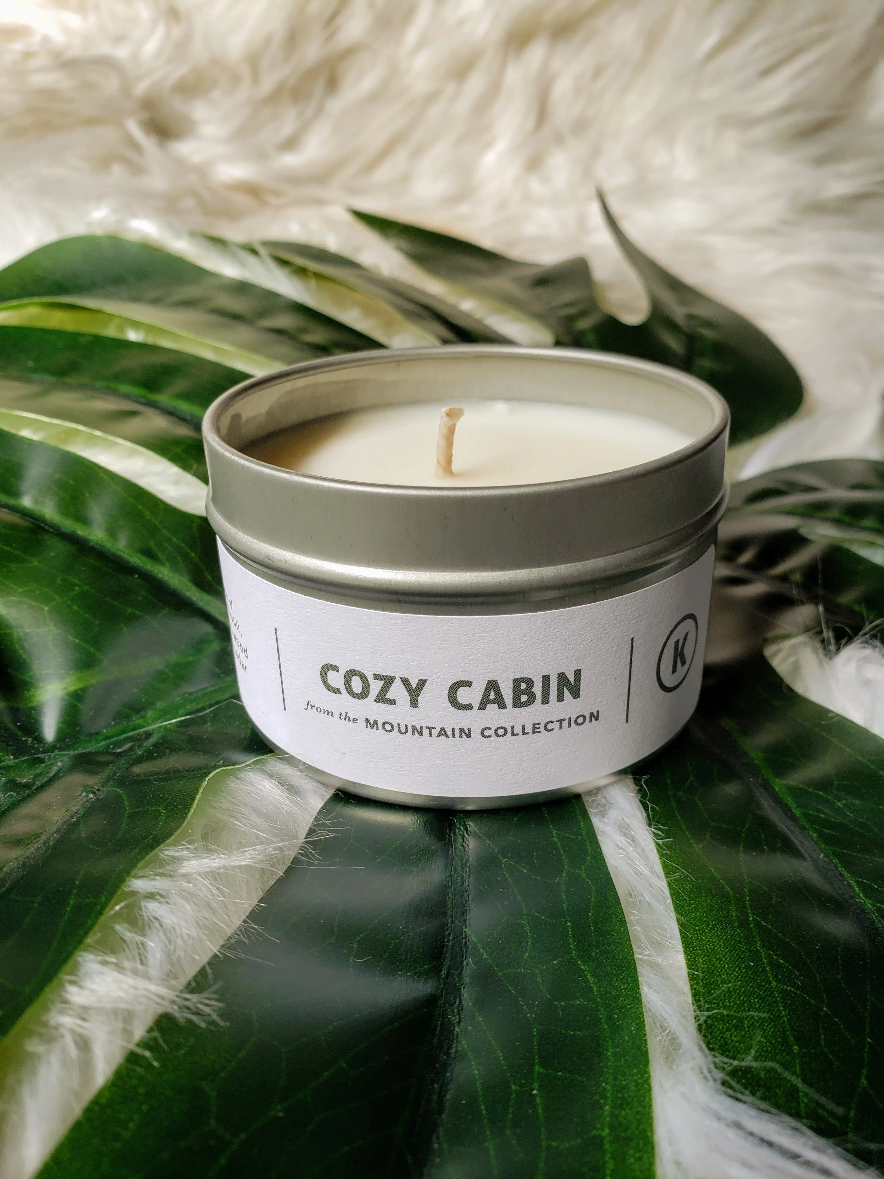 Cozy Cabin Travel Tin Candle