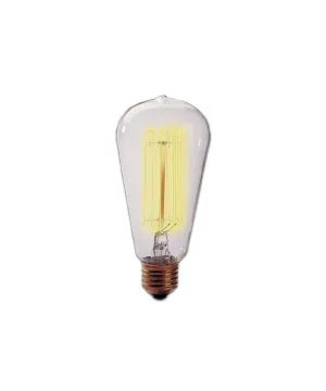 Edison Light Bulb