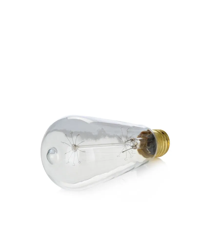Edison Light Bulb