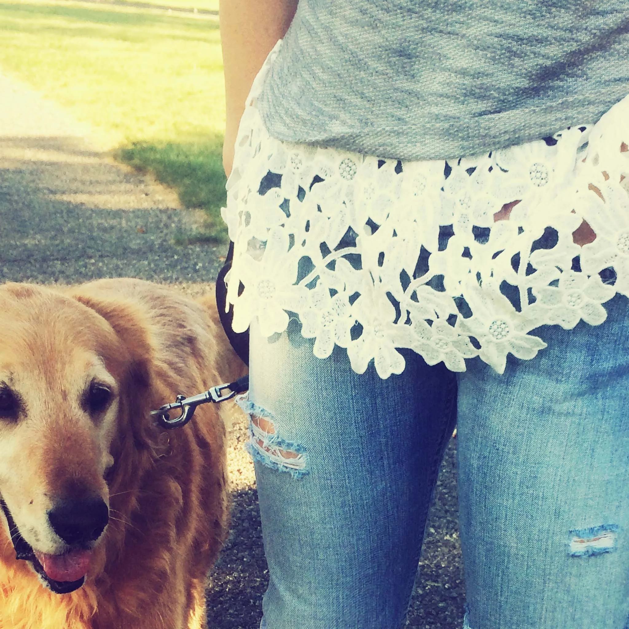 Fall Fable Lace Sweatshirt