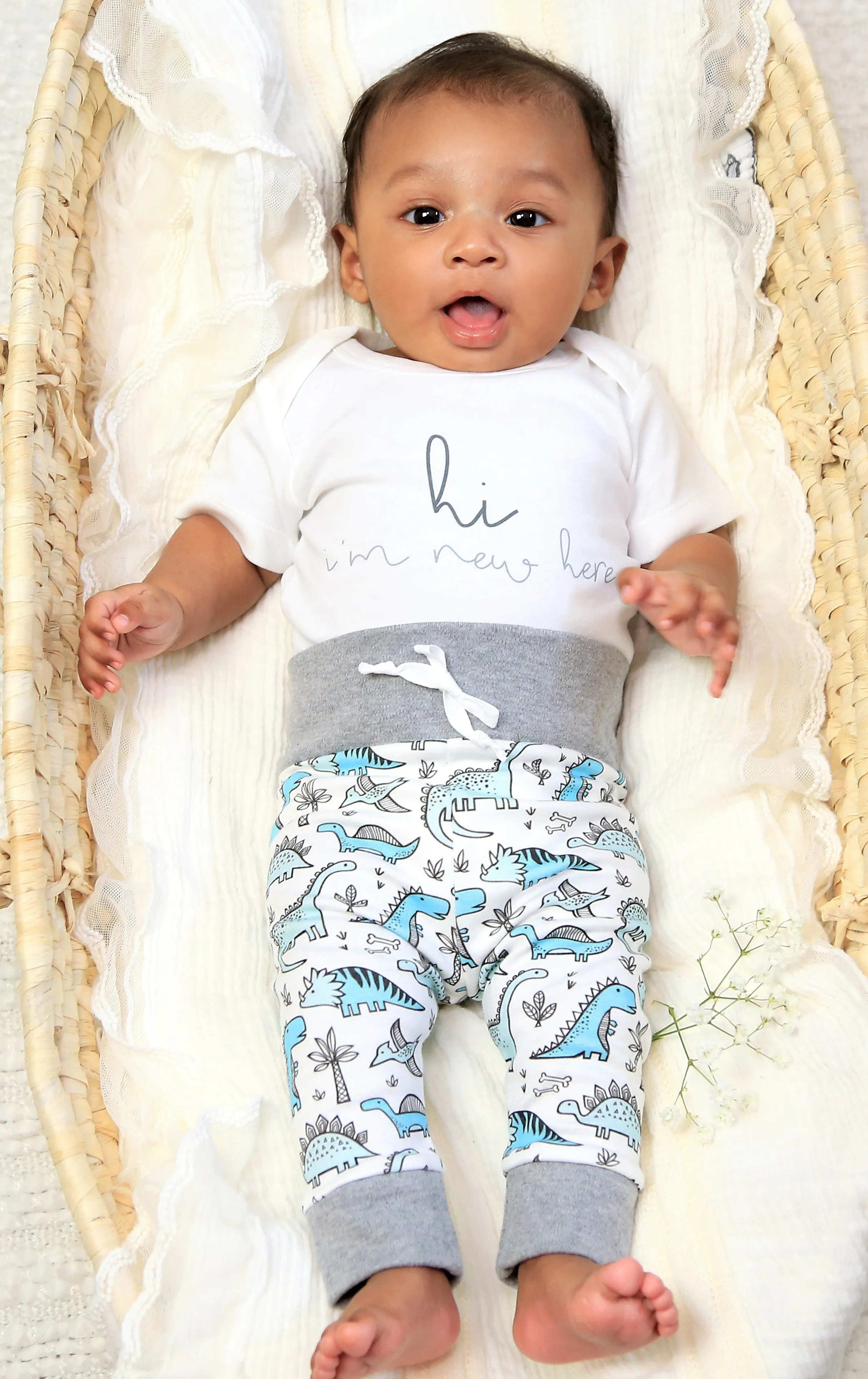 Friendly Dinosaurs | Organic Baby Gift Basket 7pcs | Baby Boy