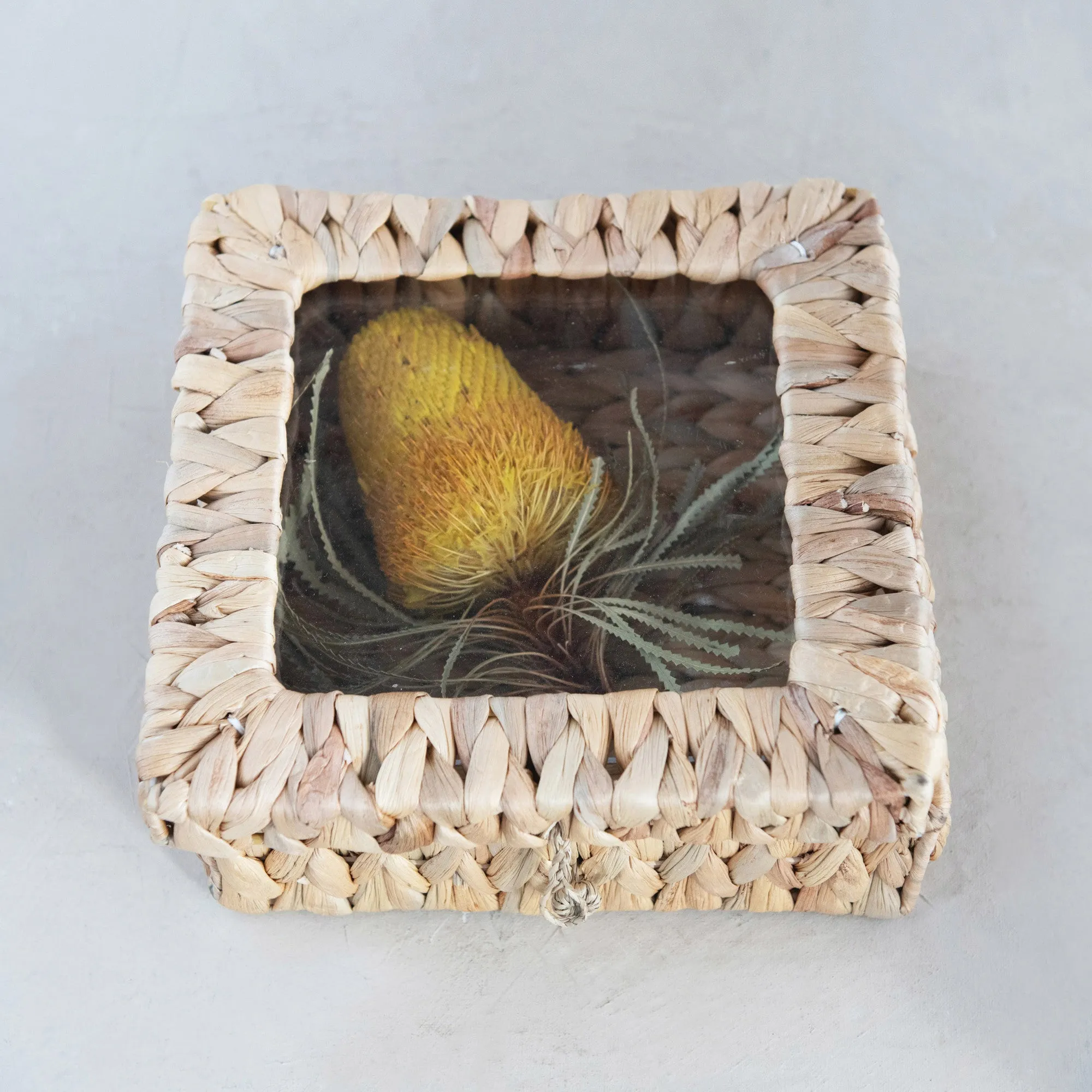 Hand-Woven Display Box