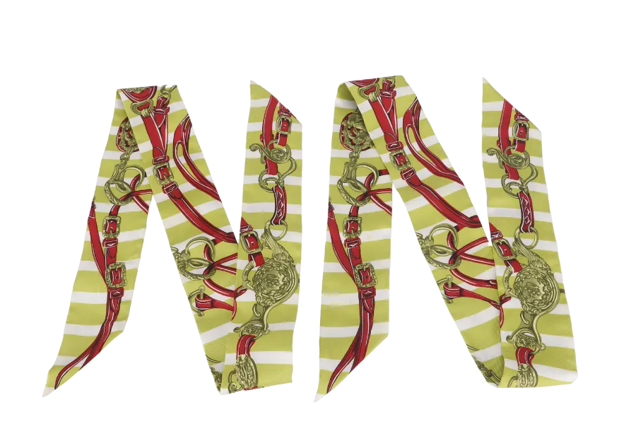 HERMES BRIDES DE GALA BAYADERE LIGHT GREEN SILK TWILLY 1 PAIR WITH BOX