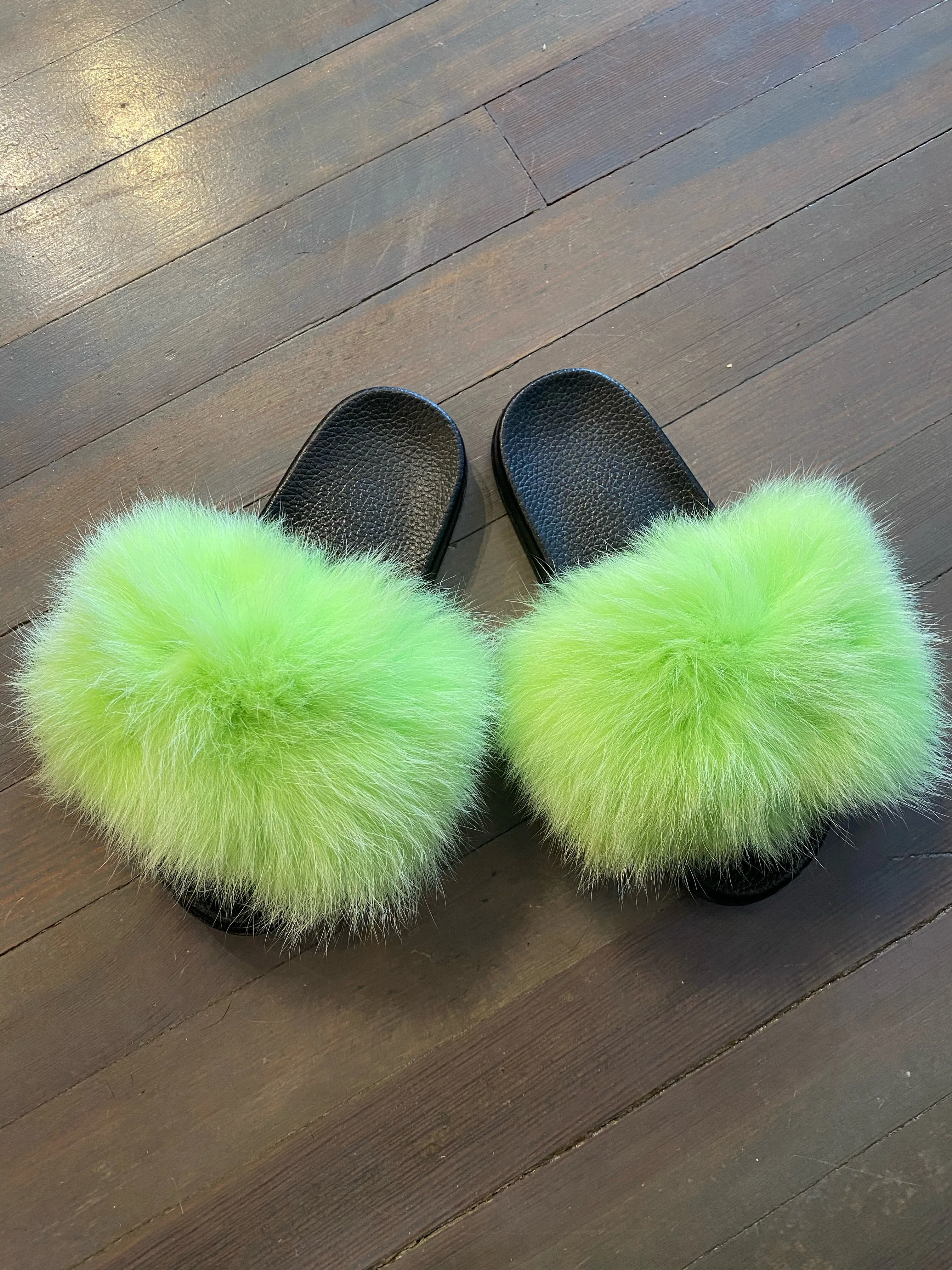 Light Green Fox Slides
