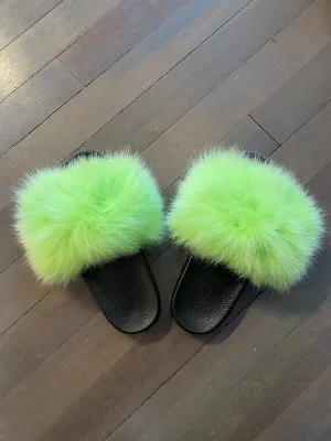 Light Green Fox Slides