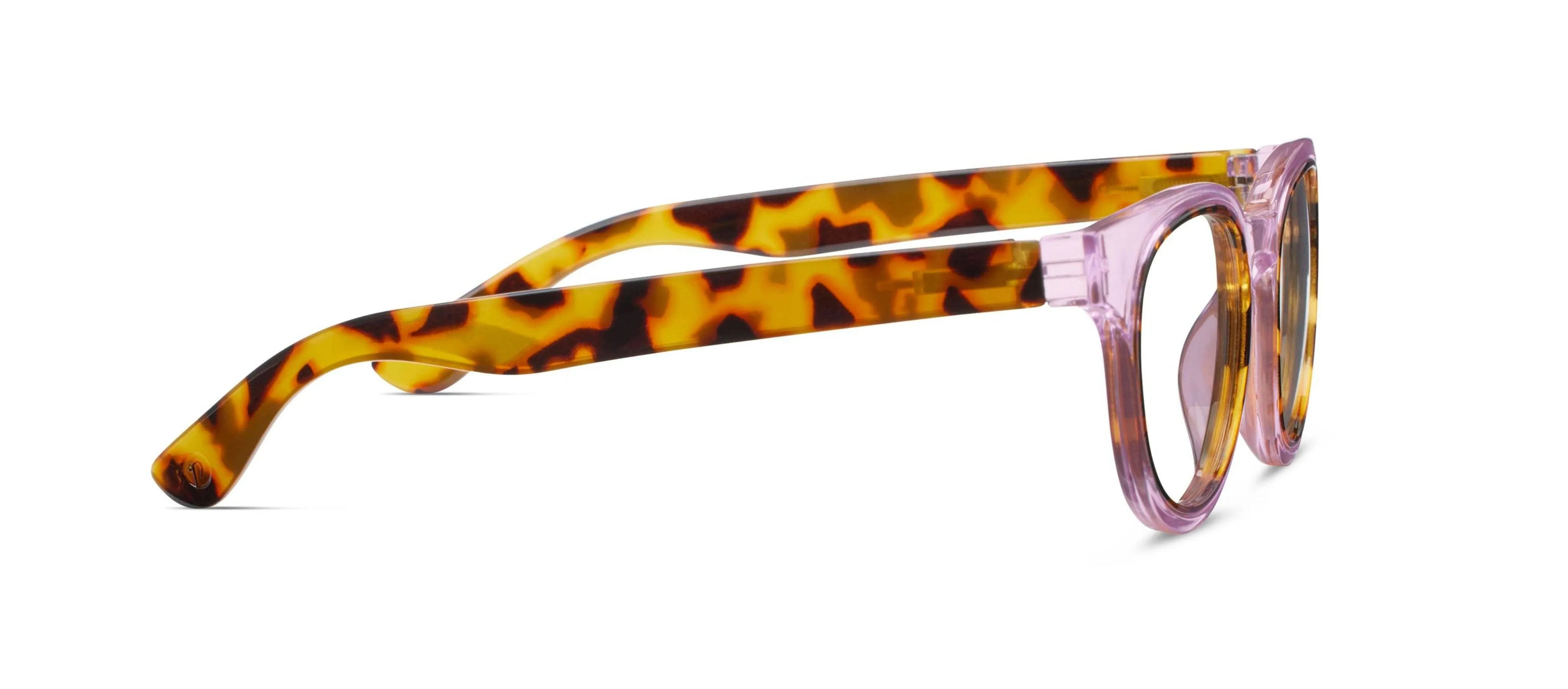 Olympia (Blue Light): Purple/Tokyo Tortoise / Reading / 1.75