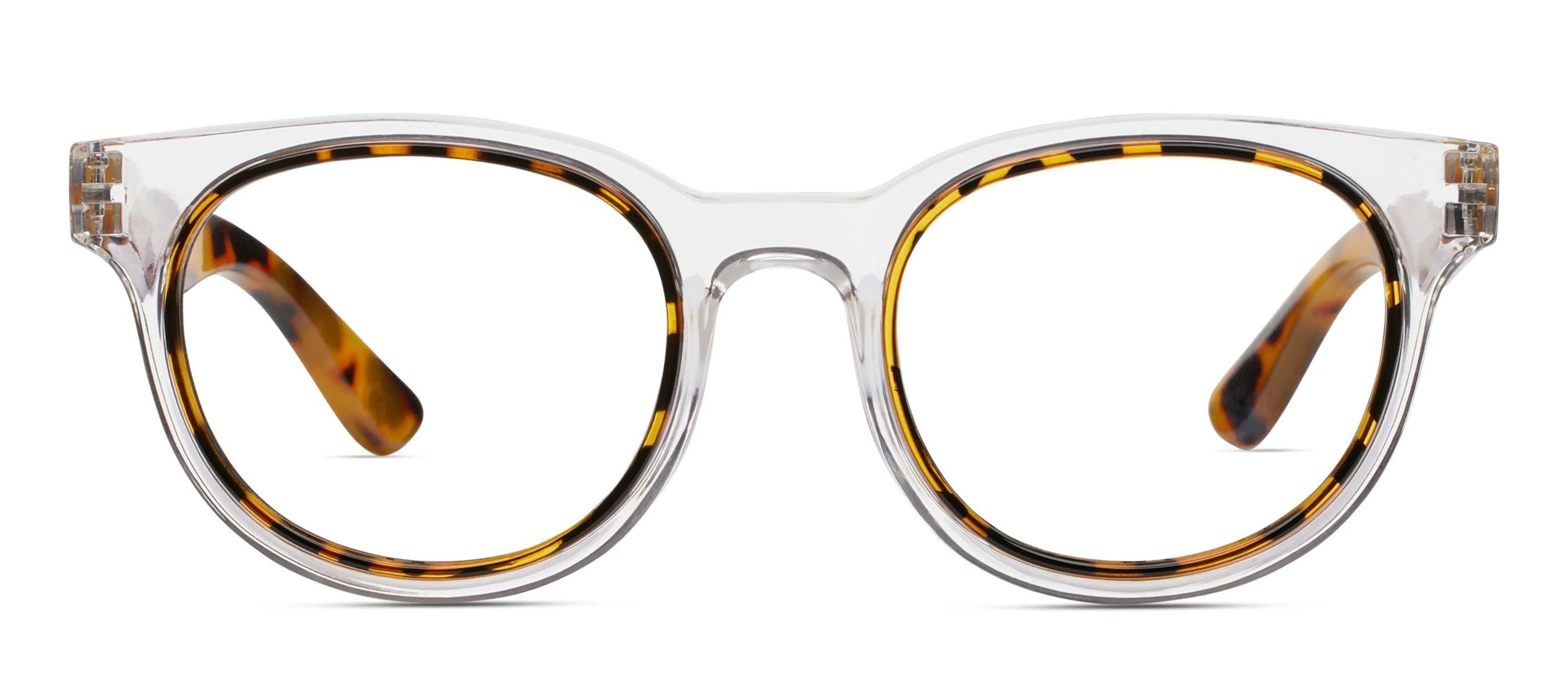 Olympia (Blue Light): Purple/Tokyo Tortoise / Reading / 1.75