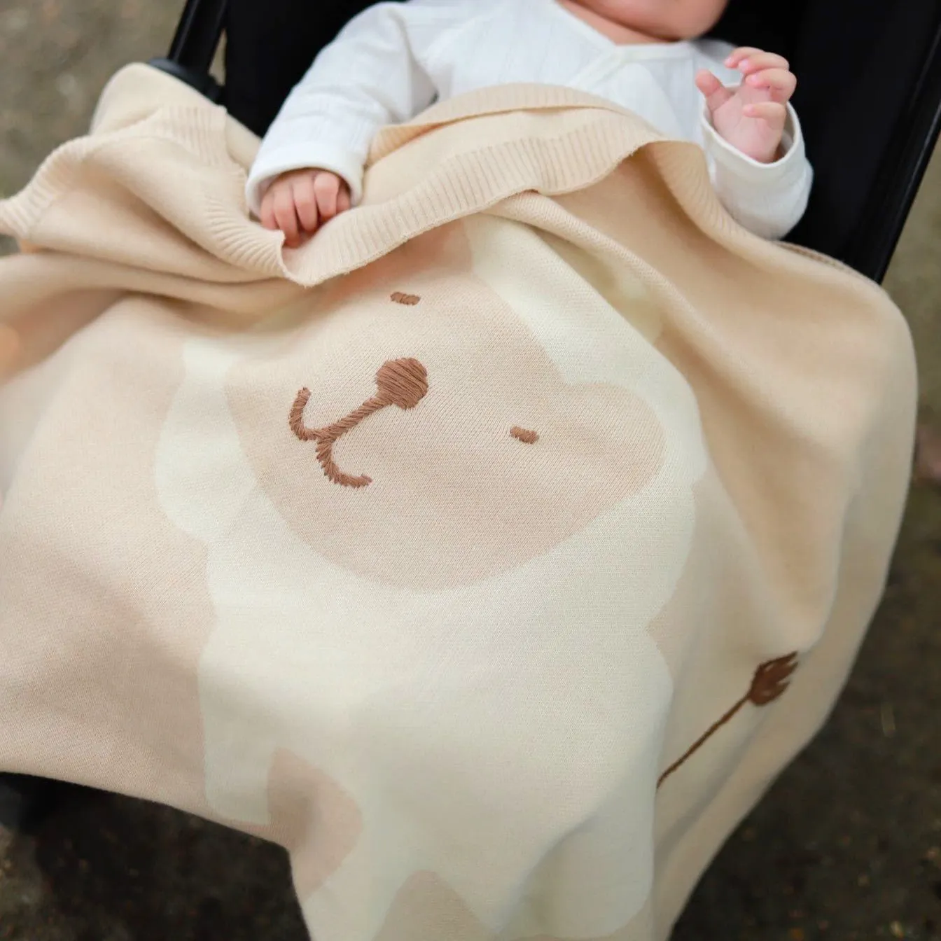 Personalized Infant Gifts: Cozy Organic Knitted Blanket Gift Set