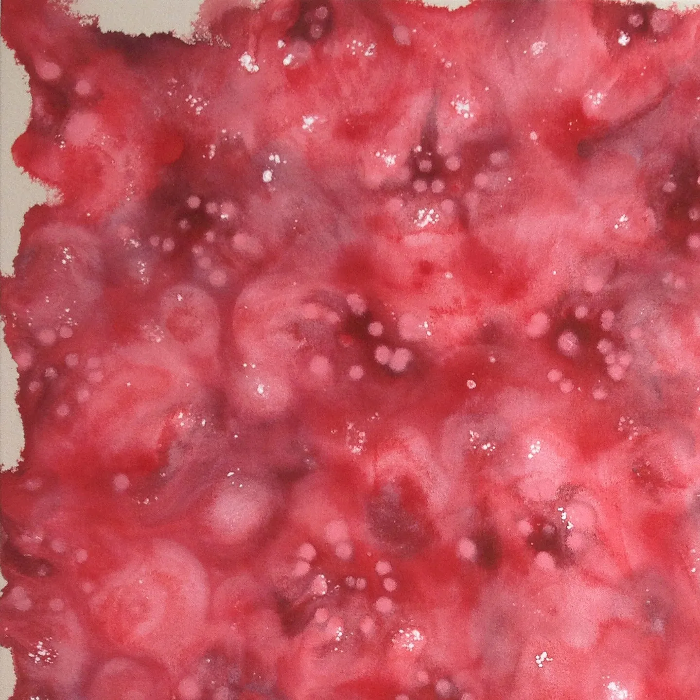 Raspberries Spilleth O’er