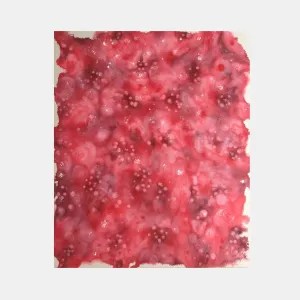 Raspberries Spilleth O’er