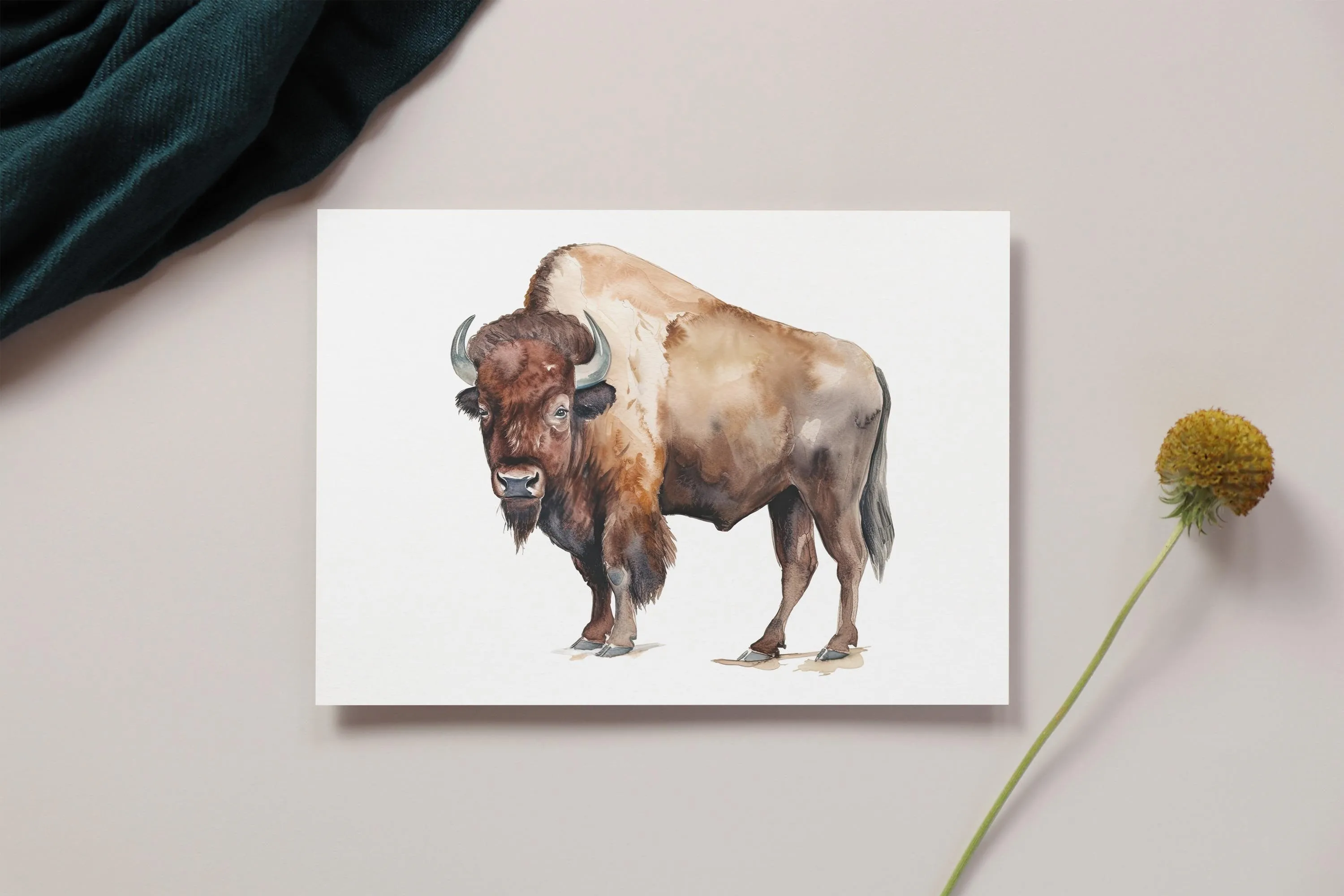 Wild West Chic Buffalo Watercolor Greeting Card – A2 Size greeting card | Wild West Chic Collection